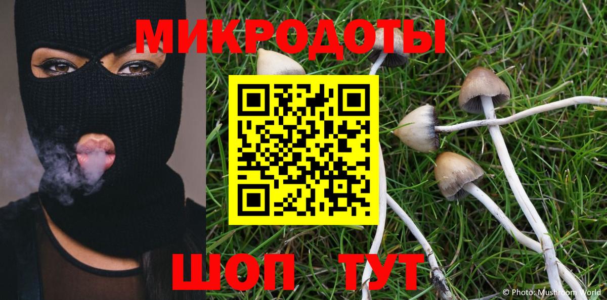 Псилоцибиновые грибы ЛСД  Галлюциногенные грибы мицелий  Пугачёв  Вход с VPN 