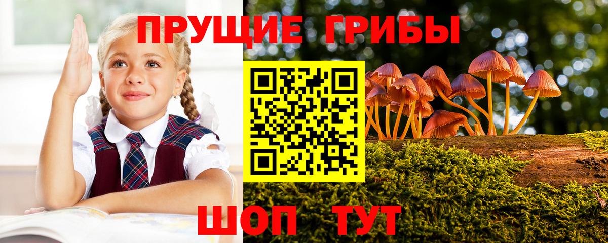 Галлюциногенные грибы GOLDEN TEACHER Пугачёв